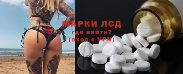 a pvp Алзамай