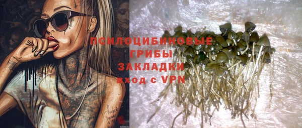прущий лед Алексин