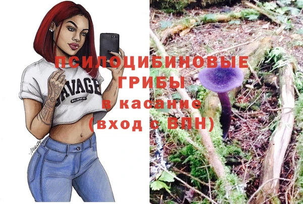 a pvp Алзамай